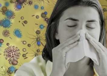 Flu Review—a brief history and analysis of influenza risk