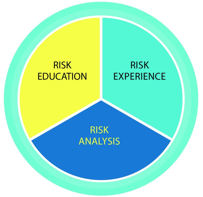 Three Components of Risk Intelligence